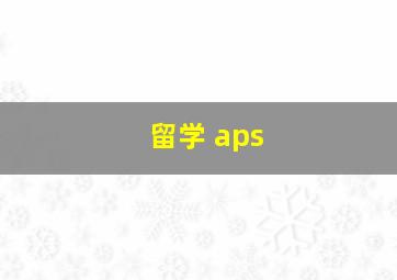 留学 aps